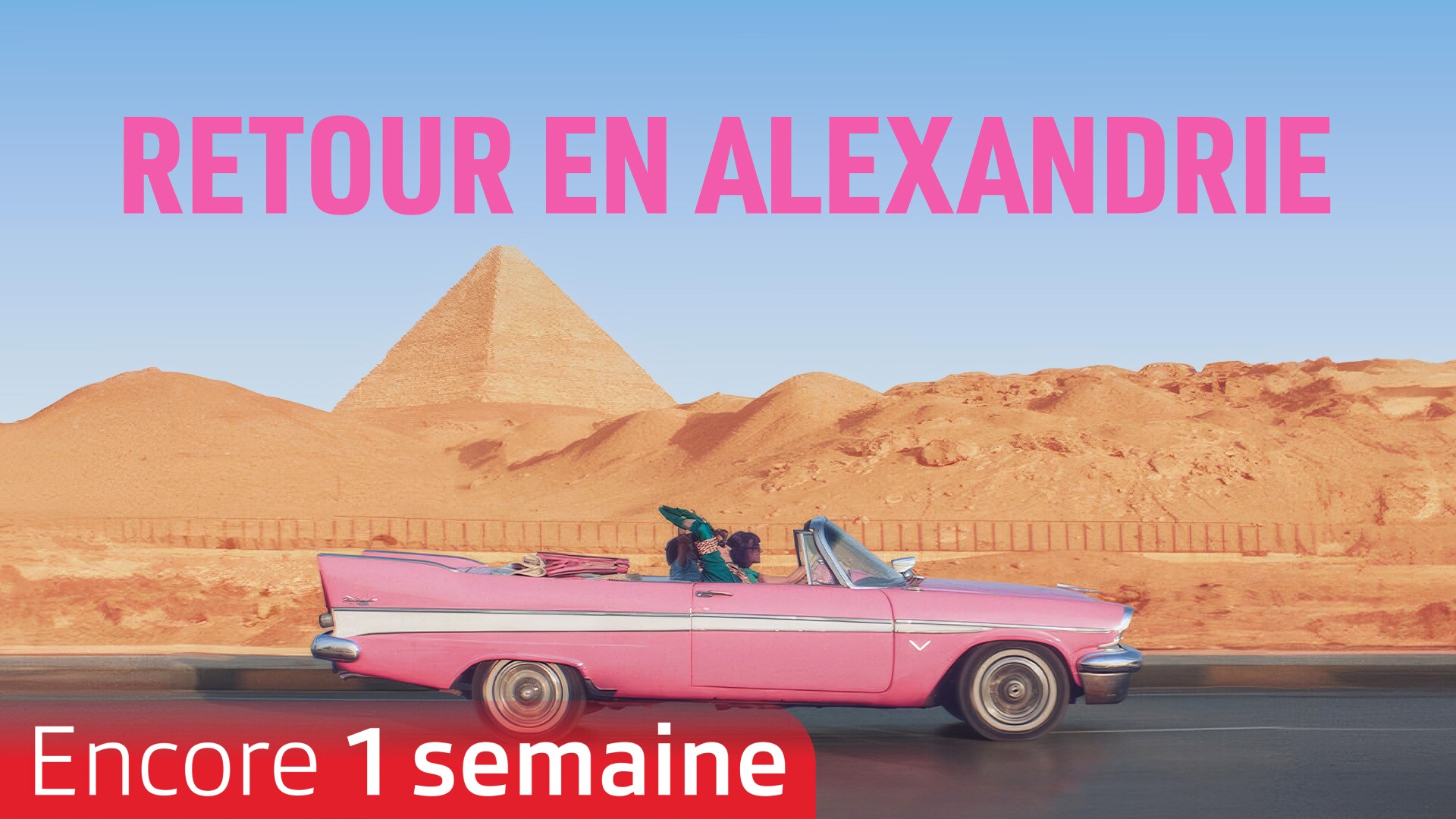 Retour en Alexandrie