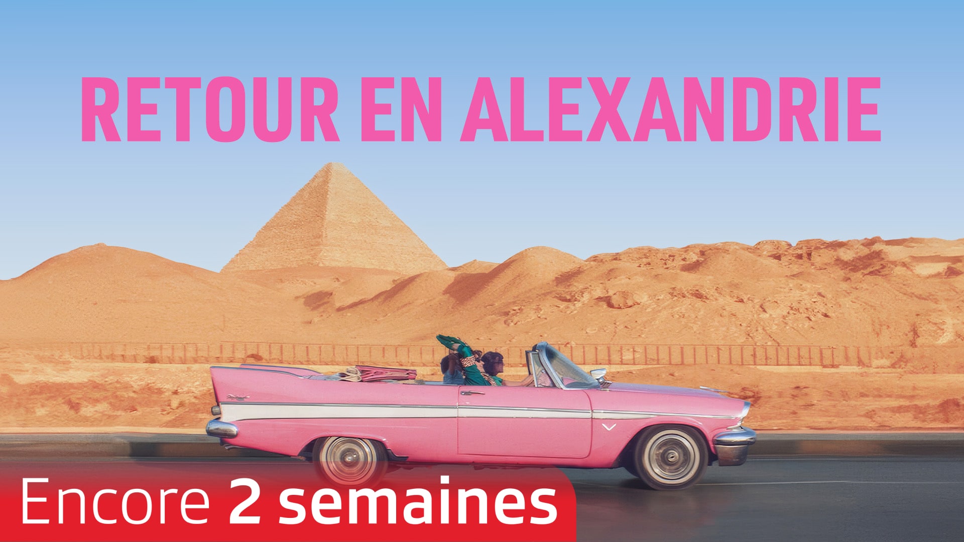 Retour en Alexandrie