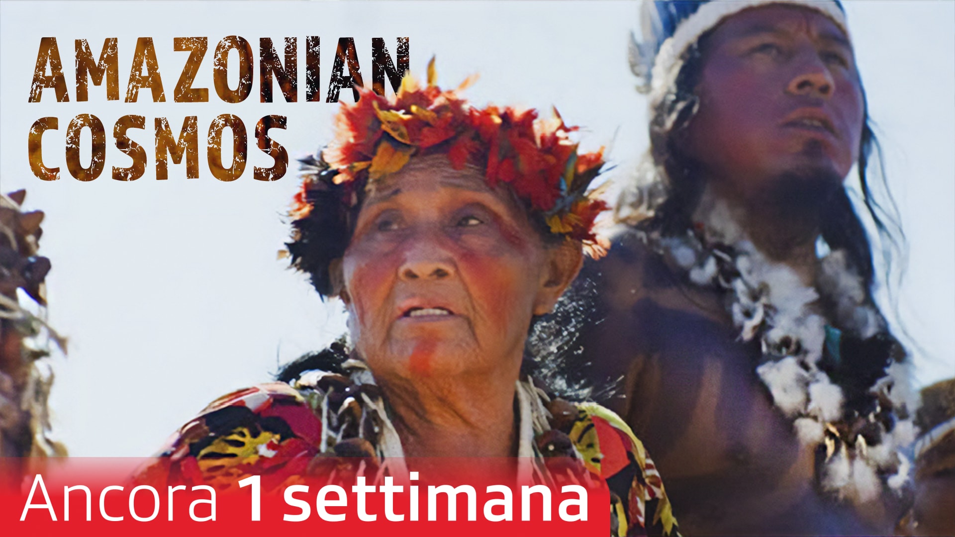 Amazonian Cosmos