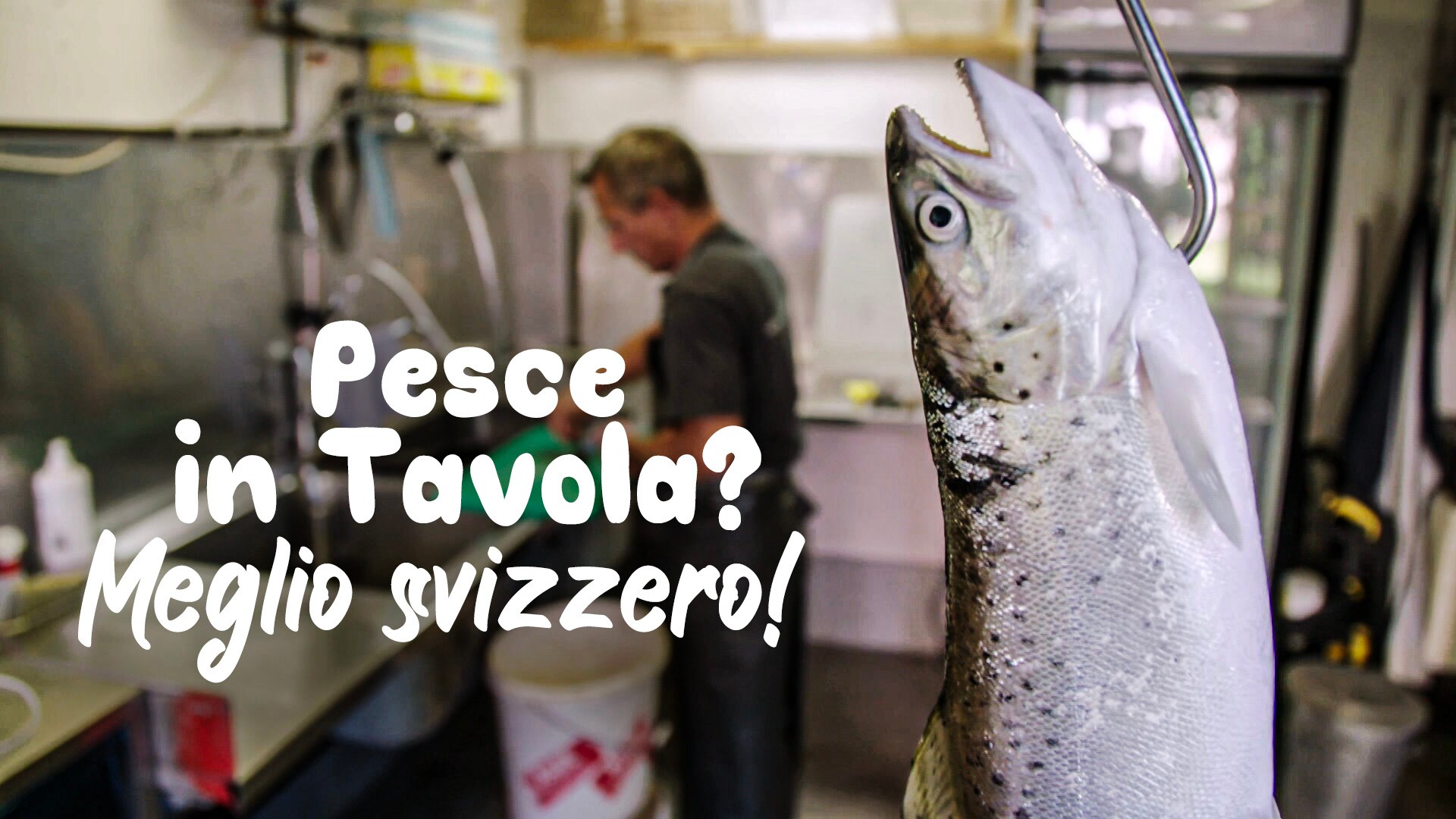 Pesce in tavola? Meglio svizzero!