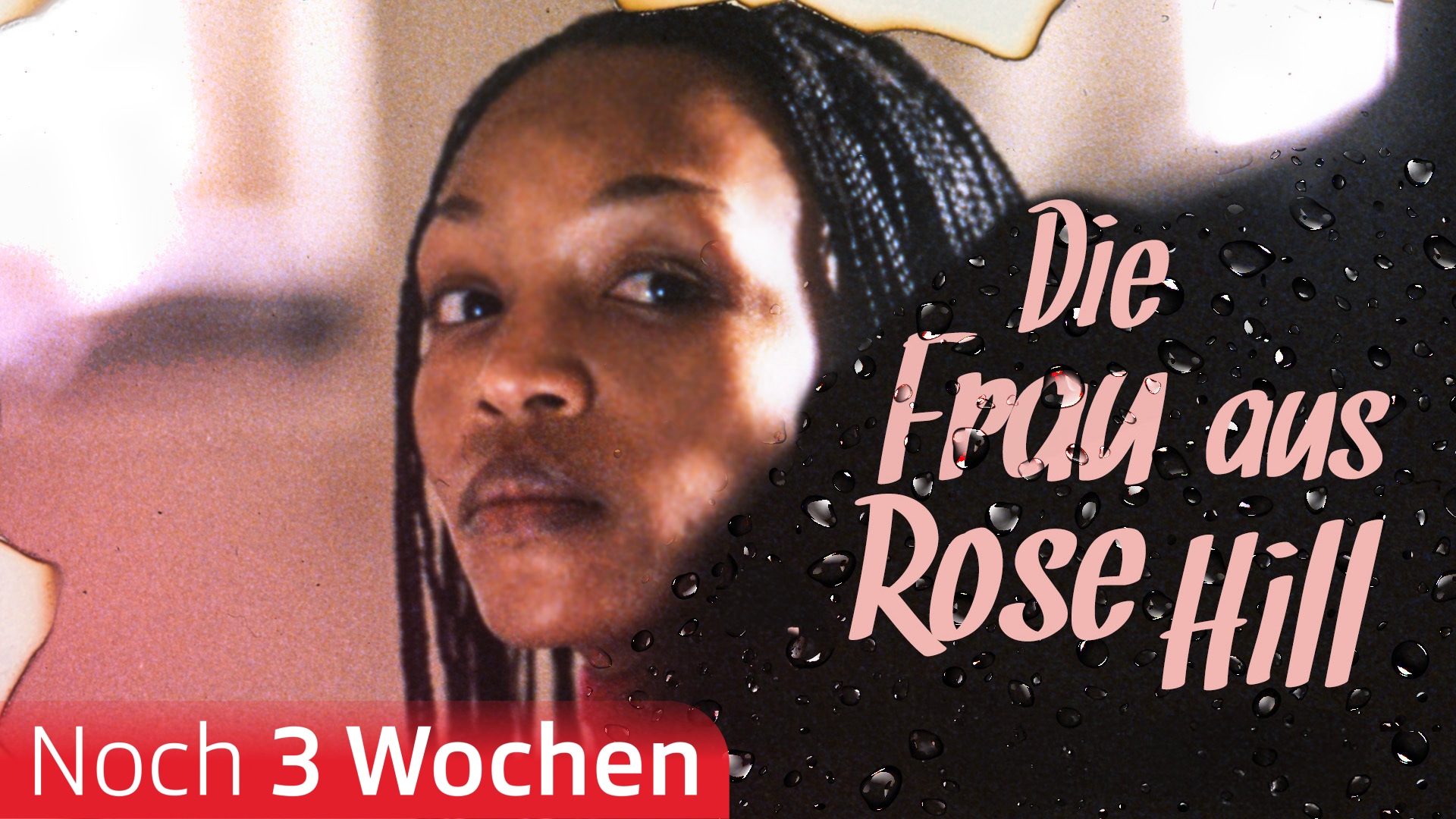 Die Frau aus Rose Hill
