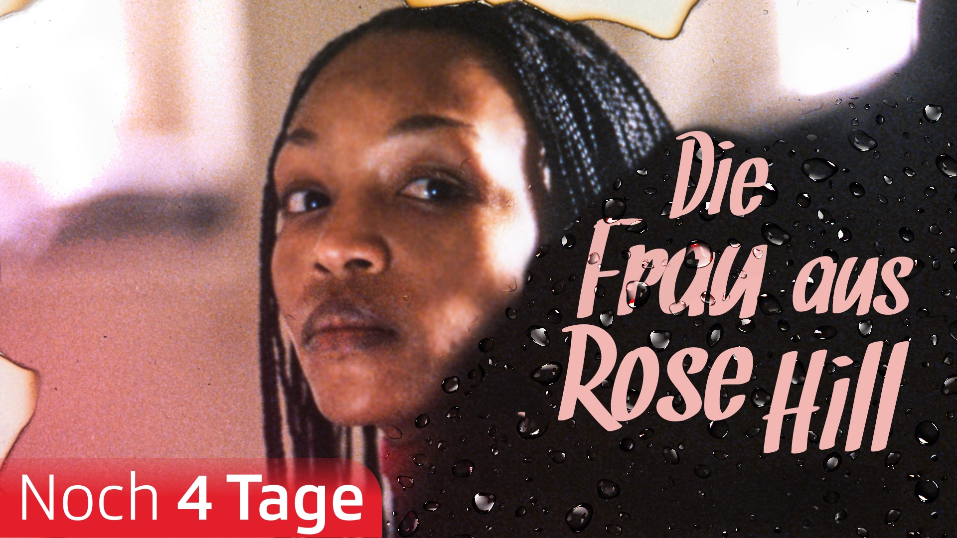 Die Frau aus Rose Hill