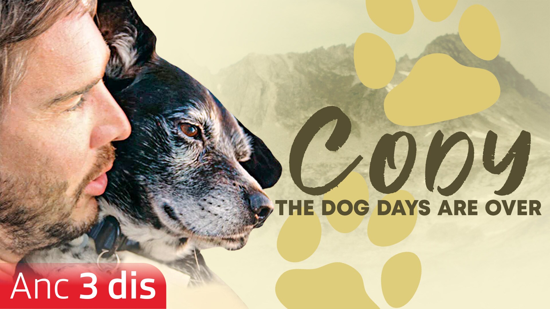 Cody - The Dog Days are over