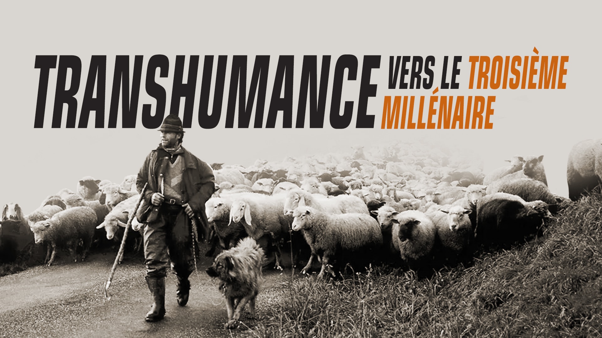 Transhumance vers le troisième millénaire 