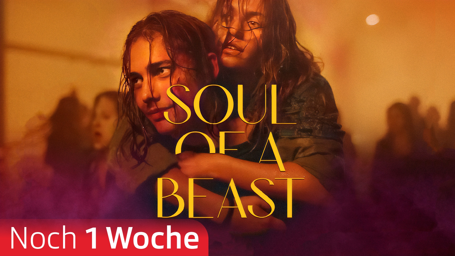 Soul of a Beast