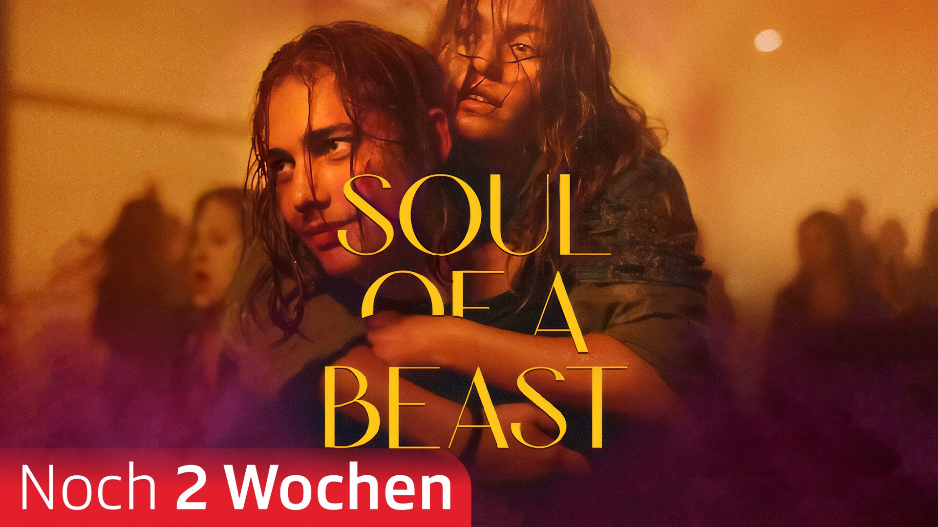 Soul of a Beast