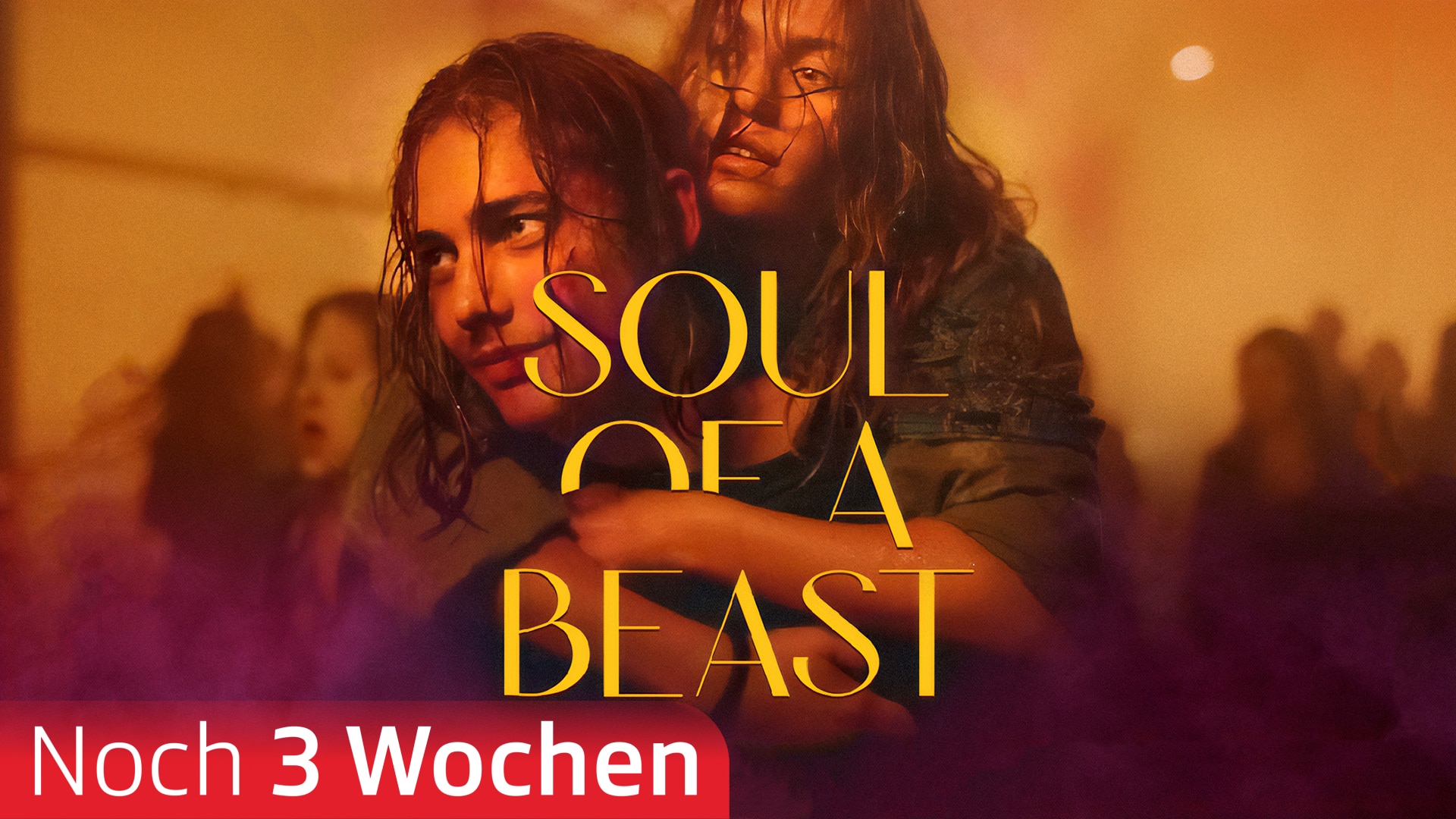 Soul of a Beast