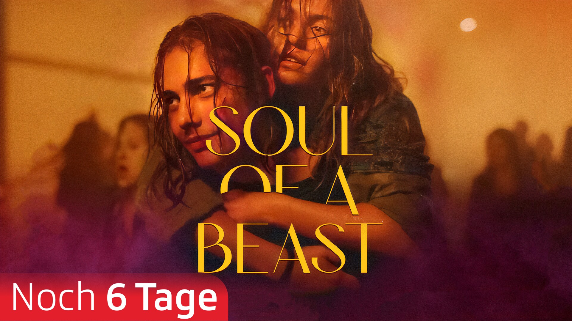 Soul of a Beast