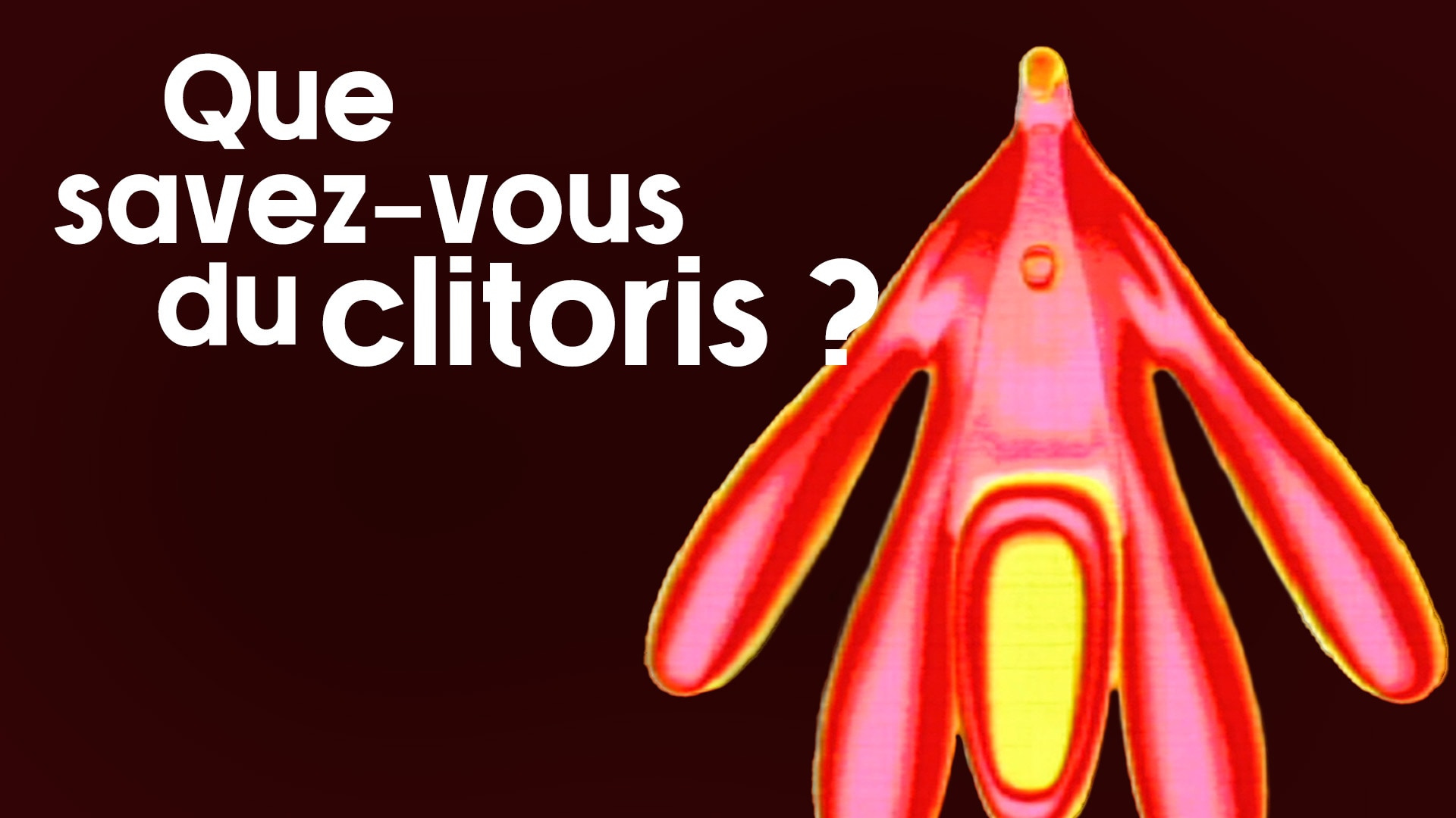 Que savez-vous du clitoris ?