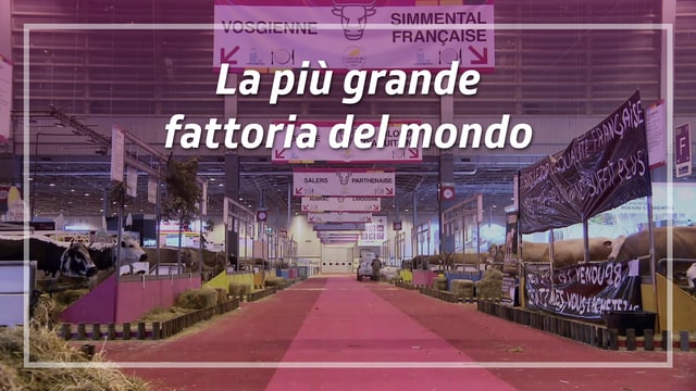 La più grande fattoria del mondo