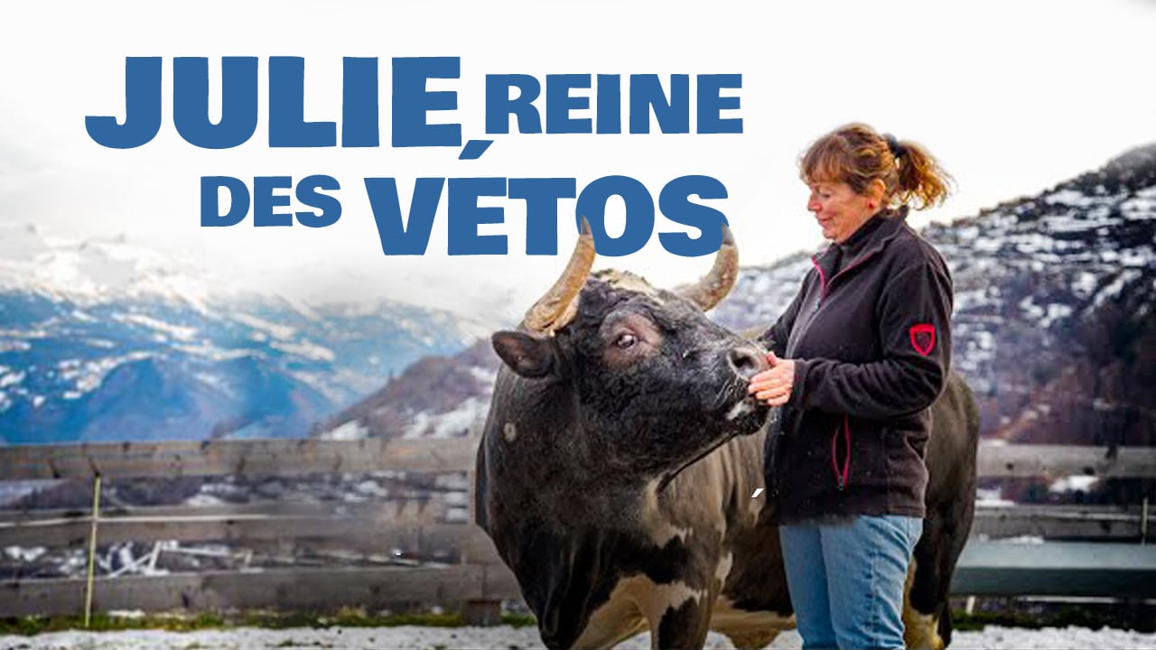 Julie, reine des vétos