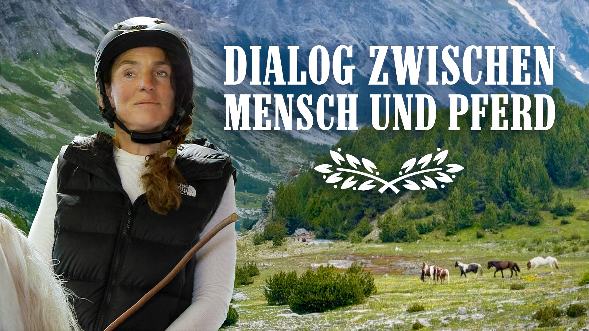 Dialog zwischen Mensch und Pferd