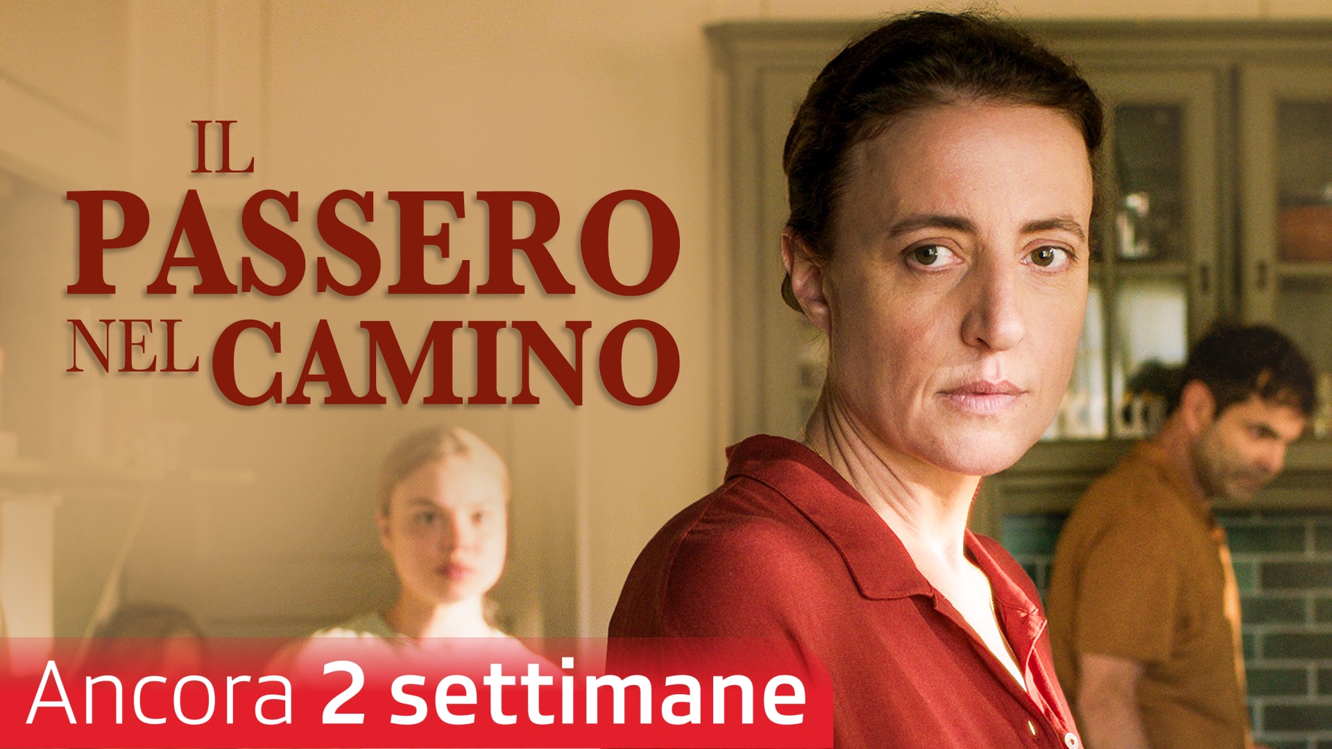 Il passero nel camino