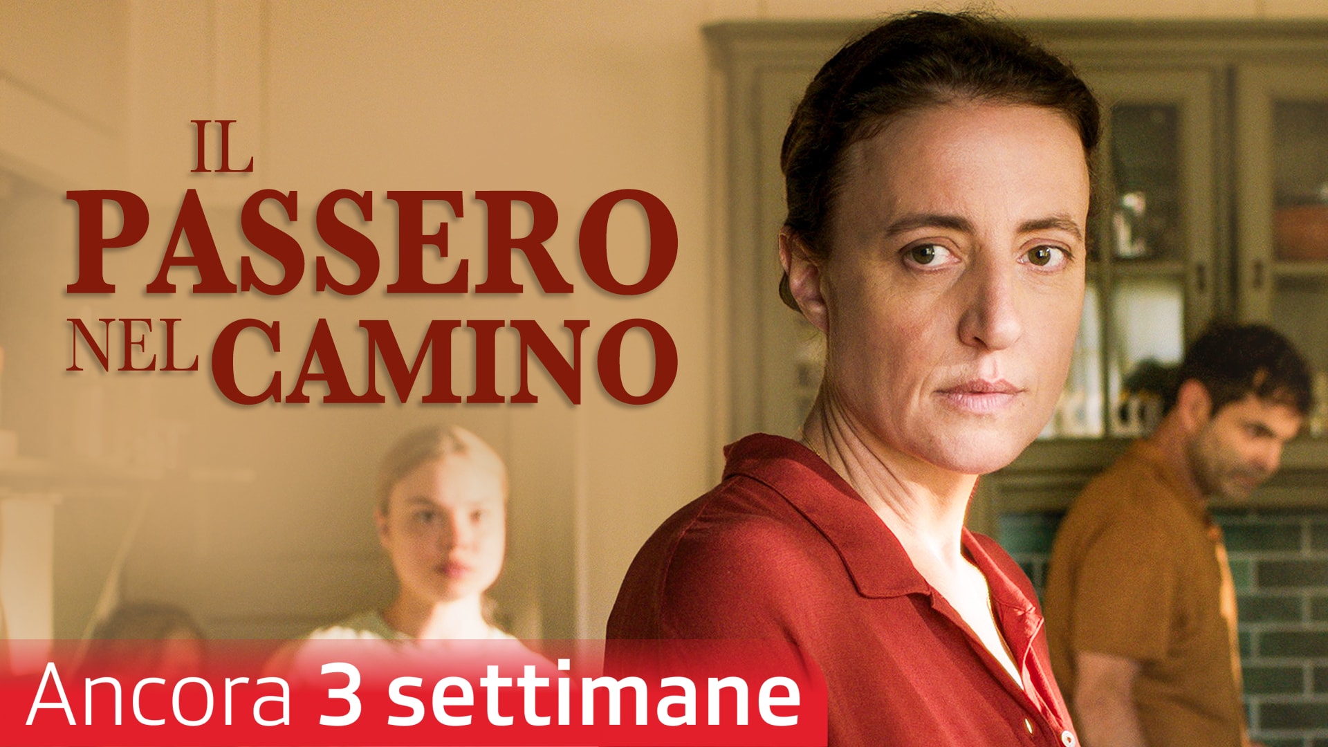 Il passero nel camino