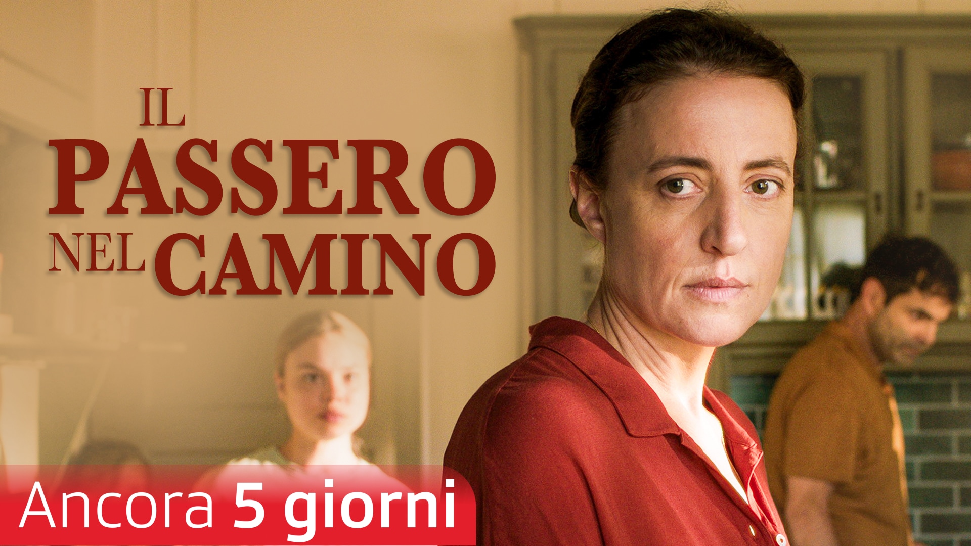 Il passero nel camino