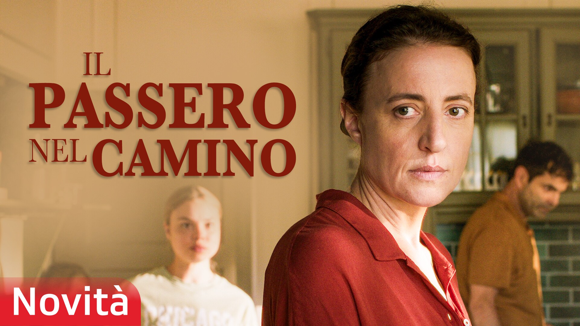 Il passero nel camino