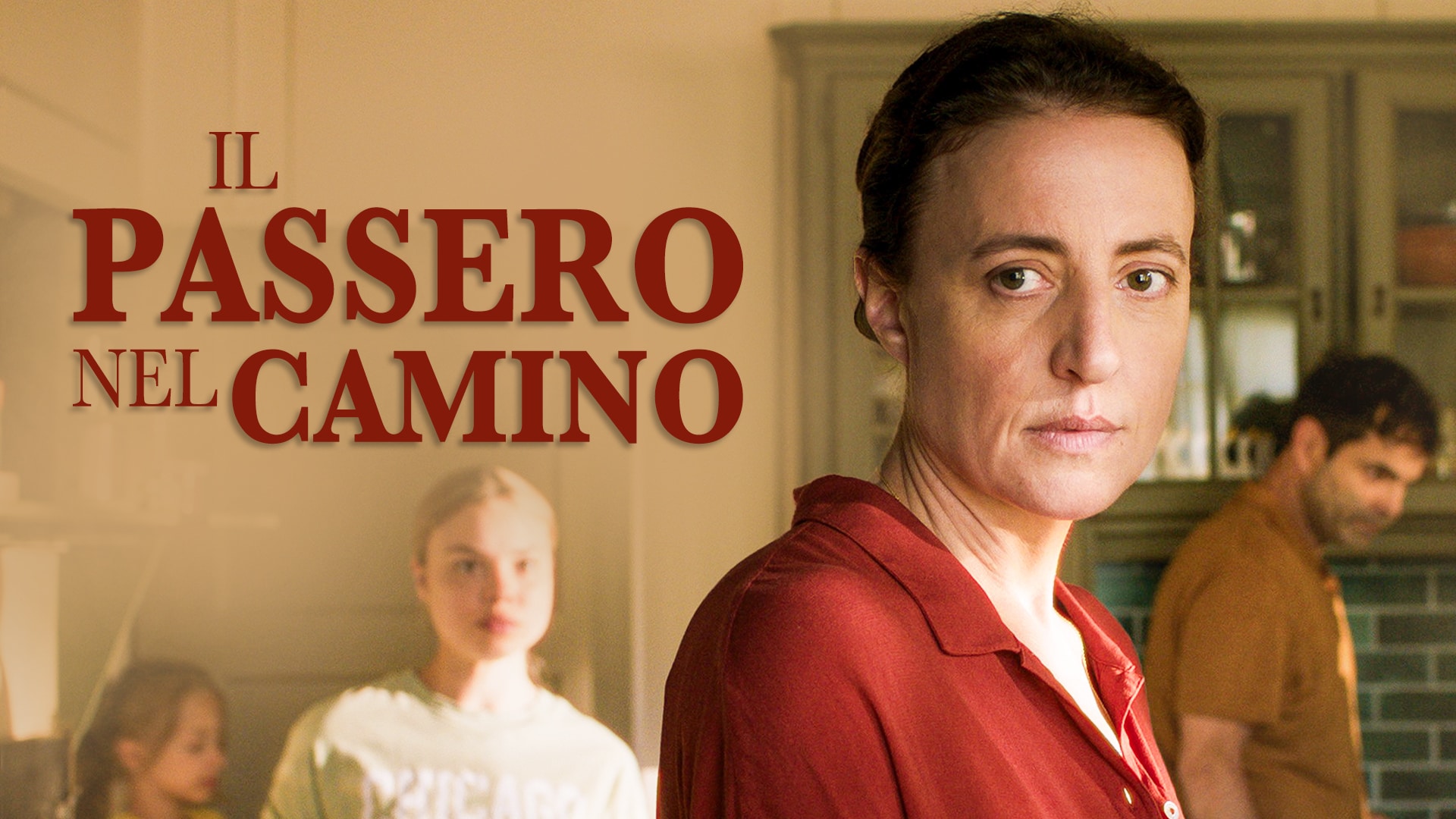 Il passero nel camino