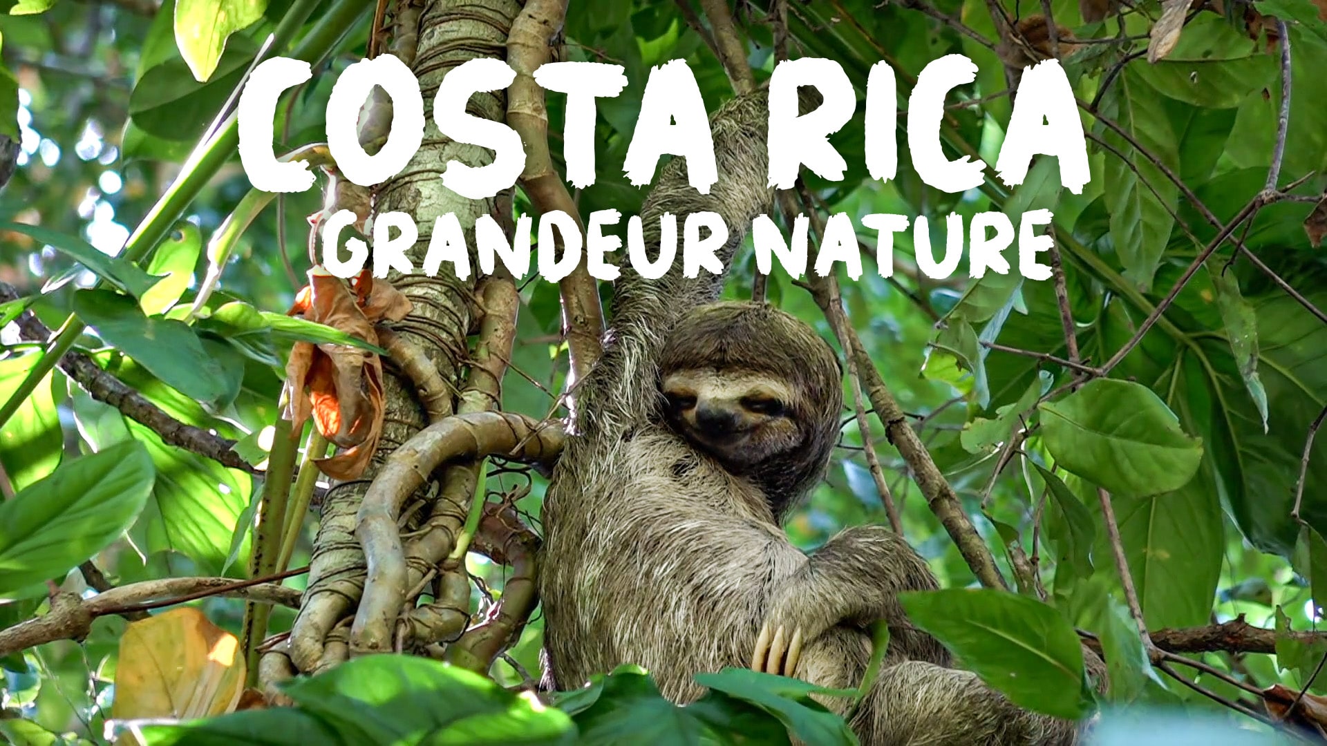 Costa Rica grandeur nature