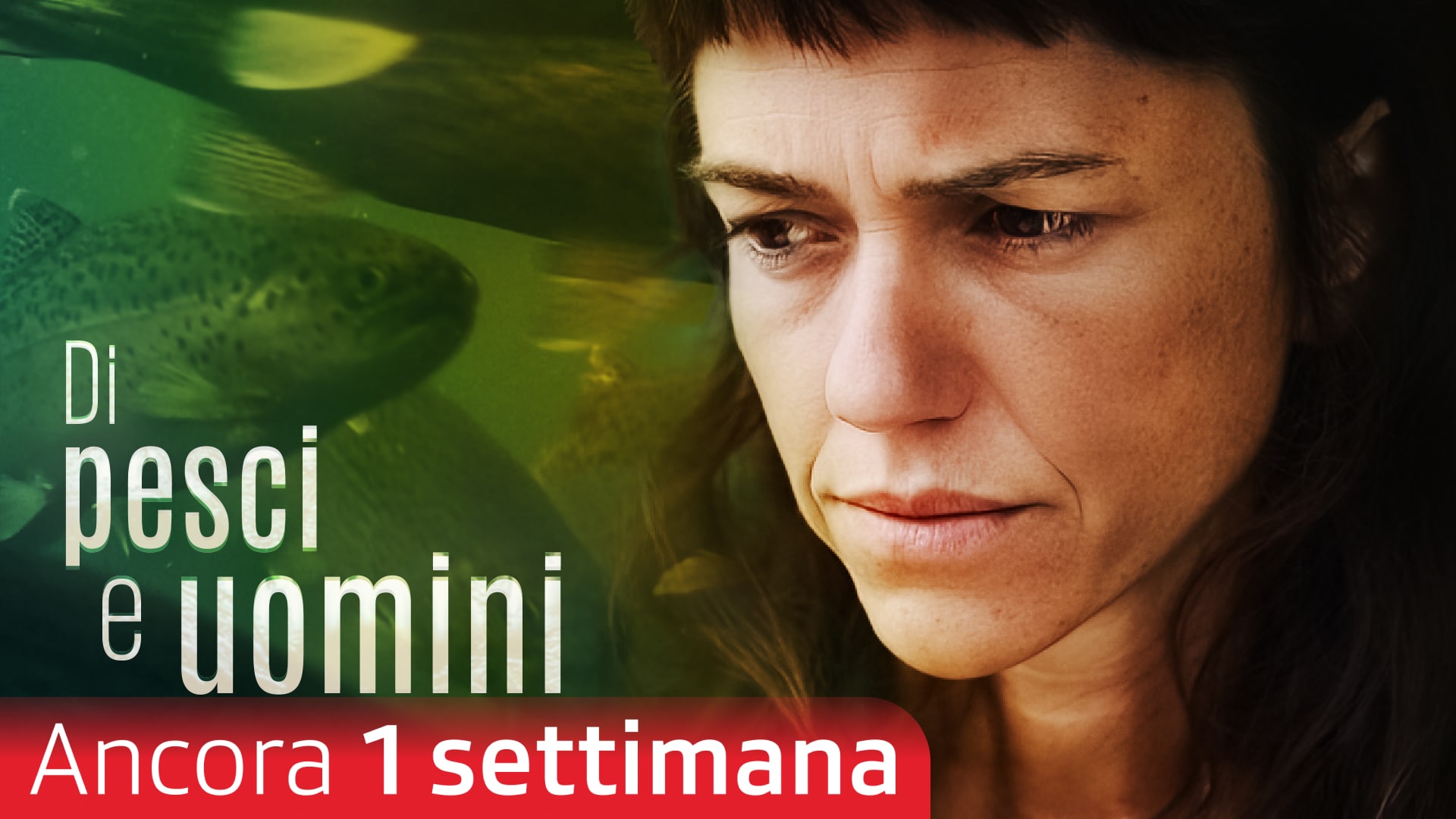 Di pesci e uomini