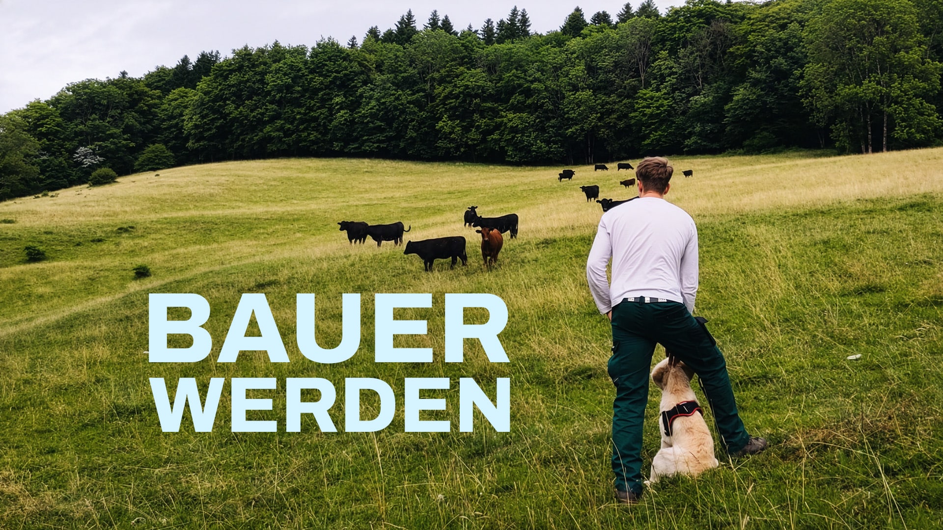 Bauer werden