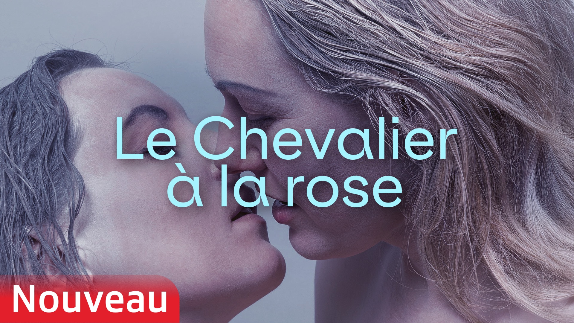 Le Chevalier à la rose