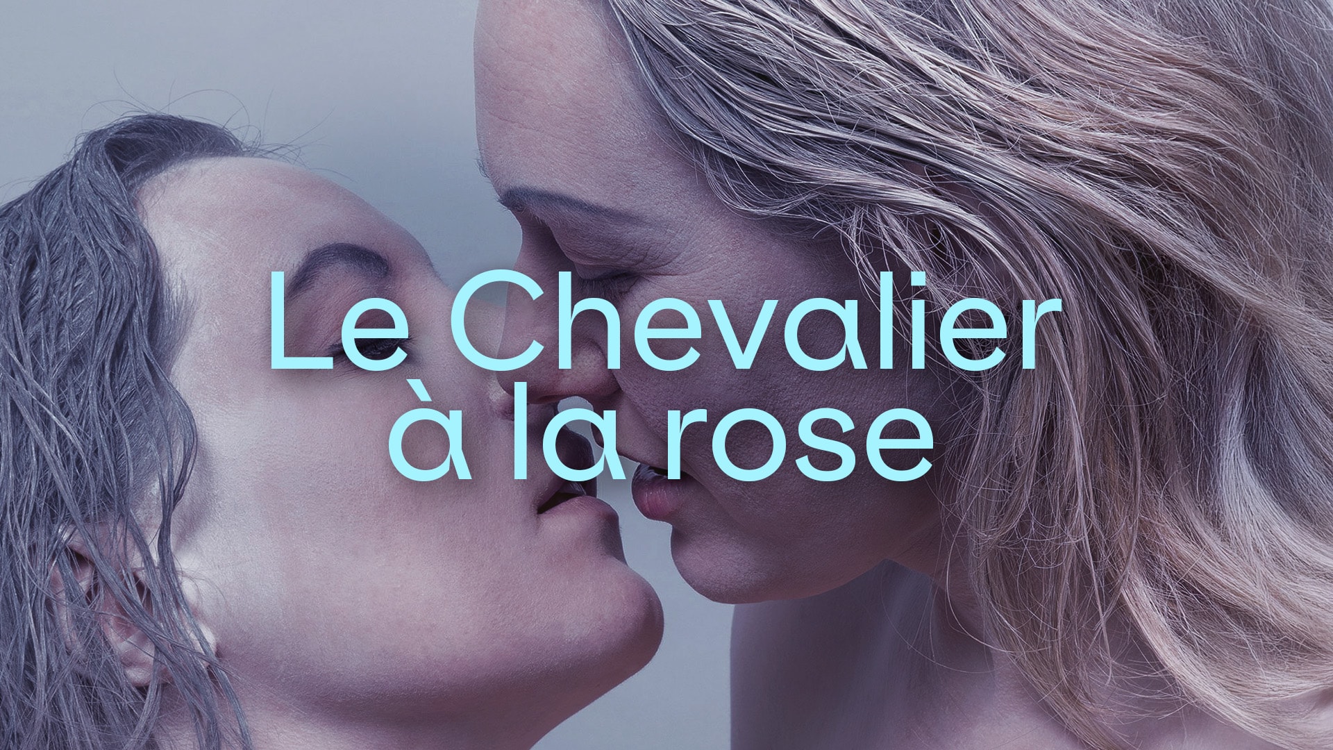Le Chevalier à la rose