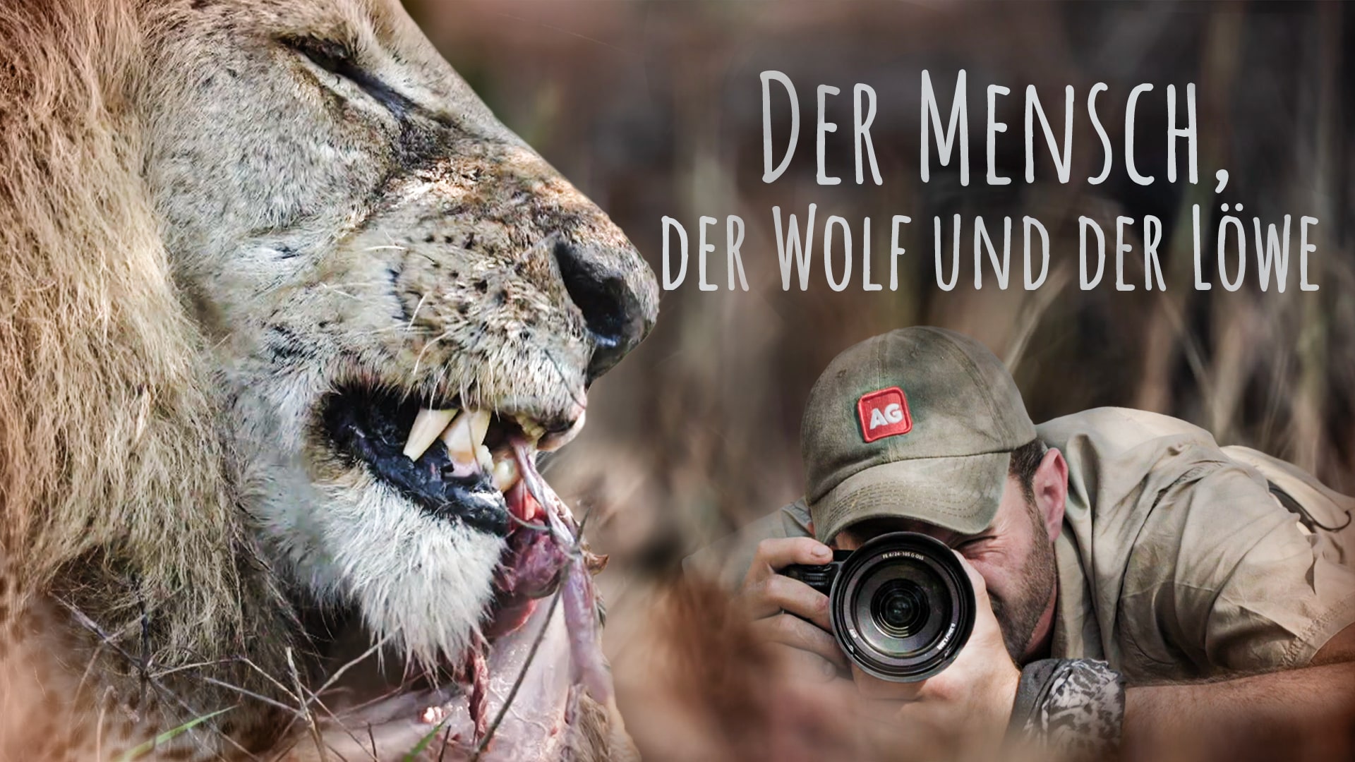 Der Mensch, der Wolf und der Löwe