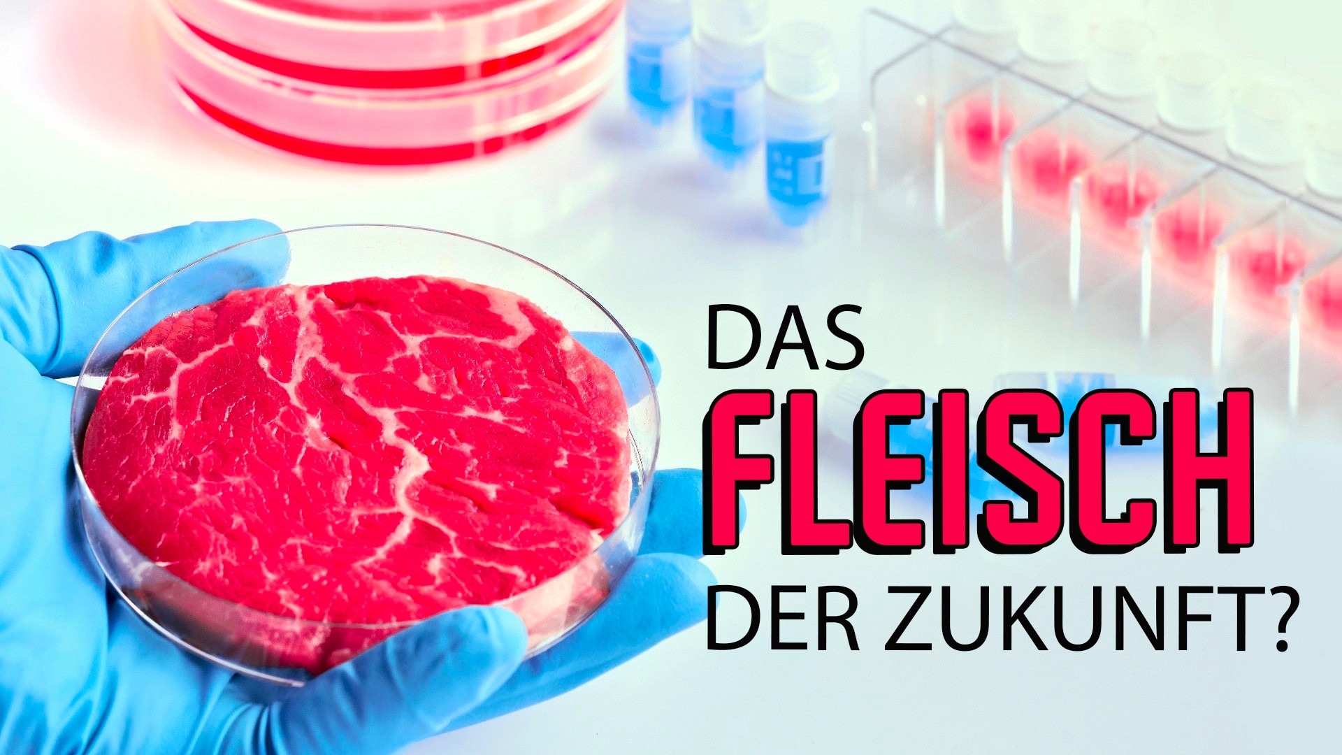 Das Fleisch der Zukunft?