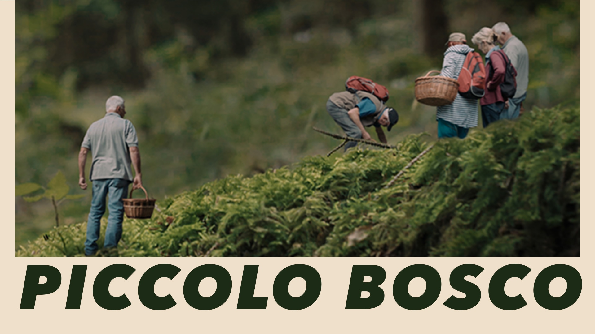 Piccolo bosco