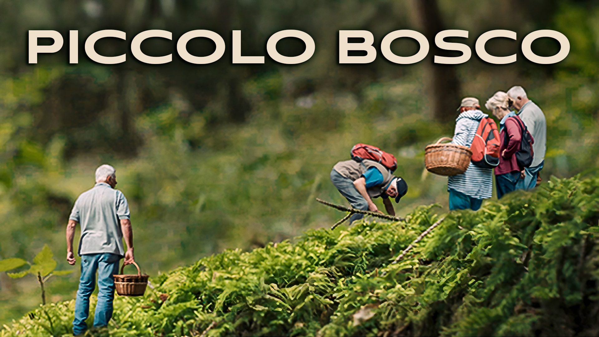 Piccolo bosco
