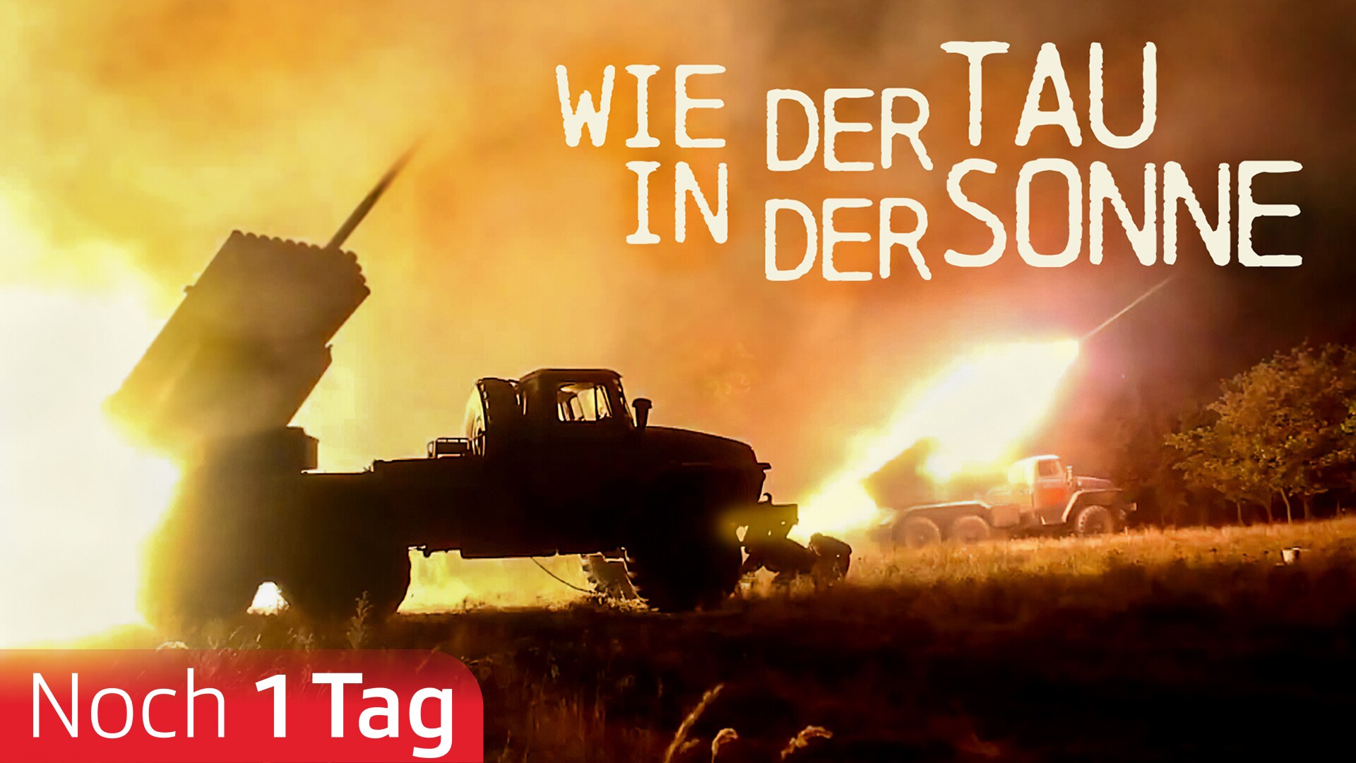 Wie der Tau in der Sonne