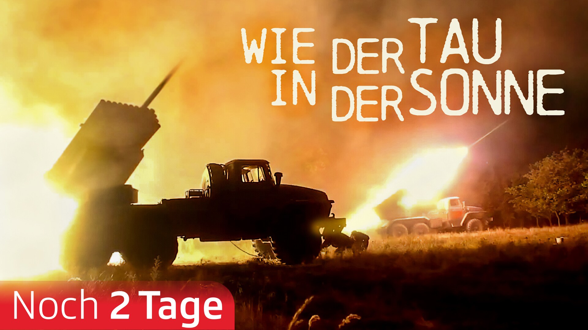Wie der Tau in der Sonne