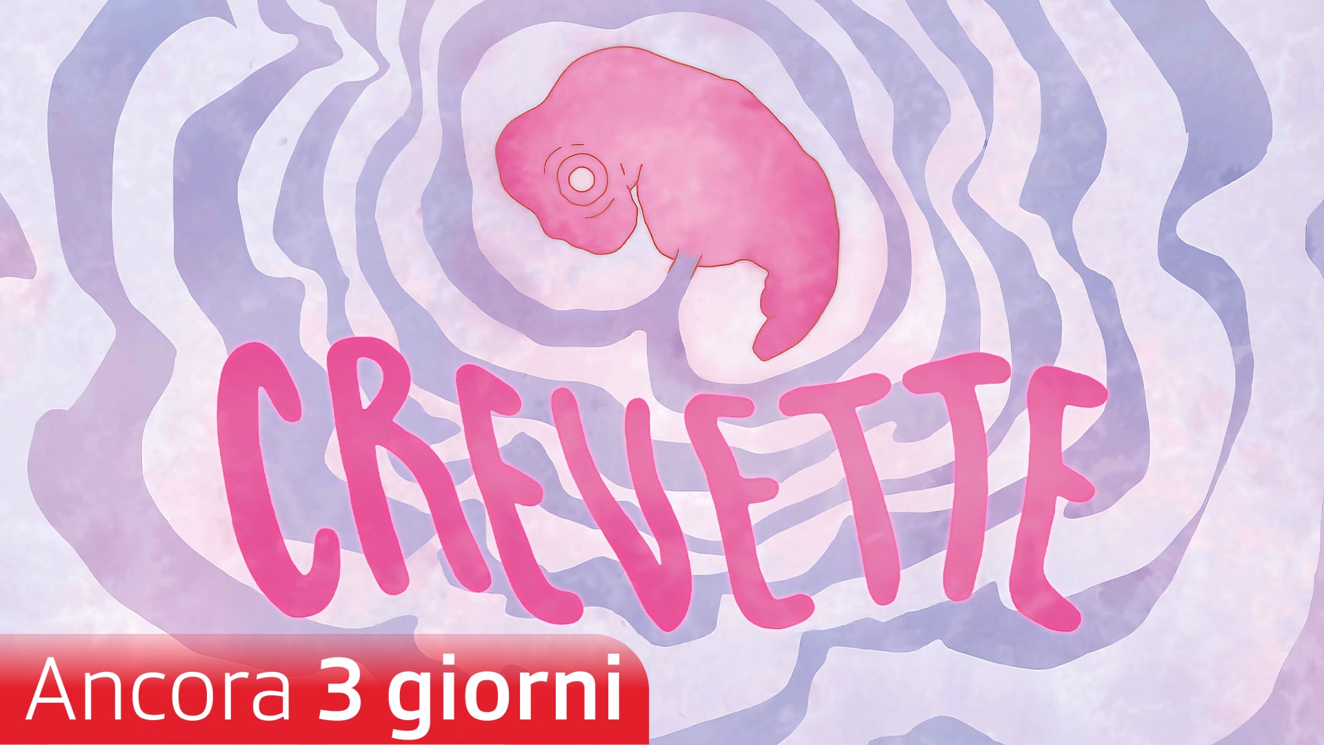 Crevette