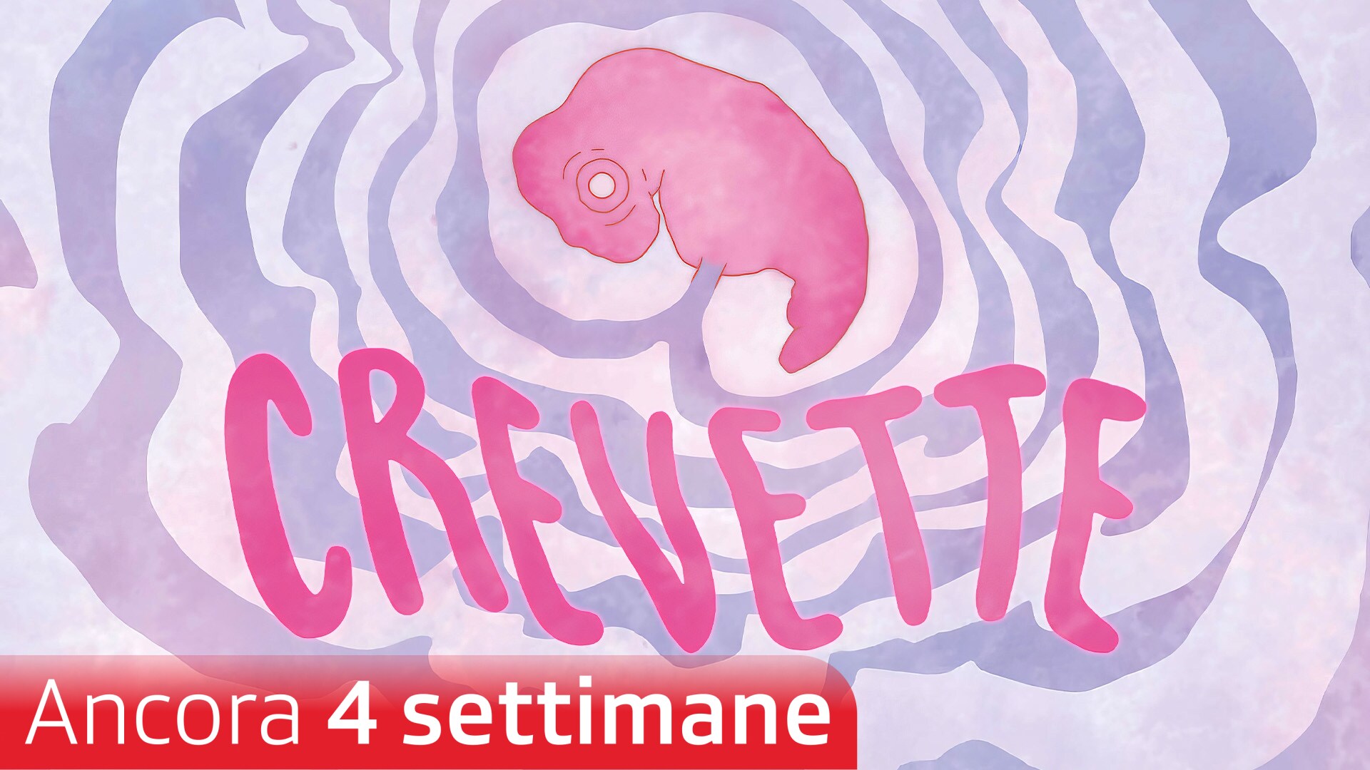 Crevette