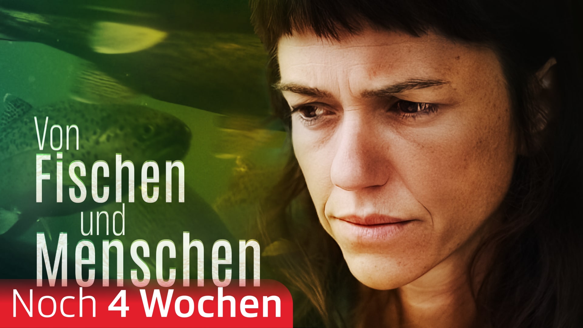 Von Fischen und Menschen