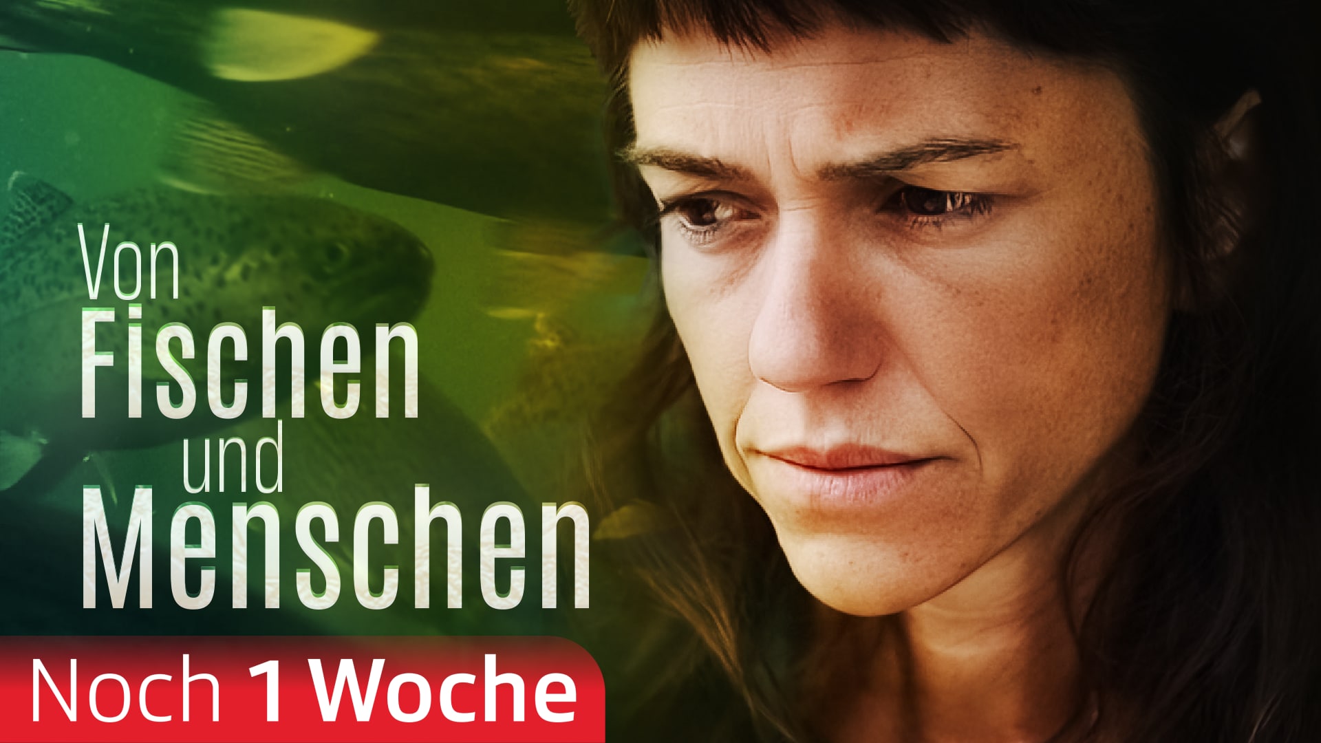 Von Fischen und Menschen