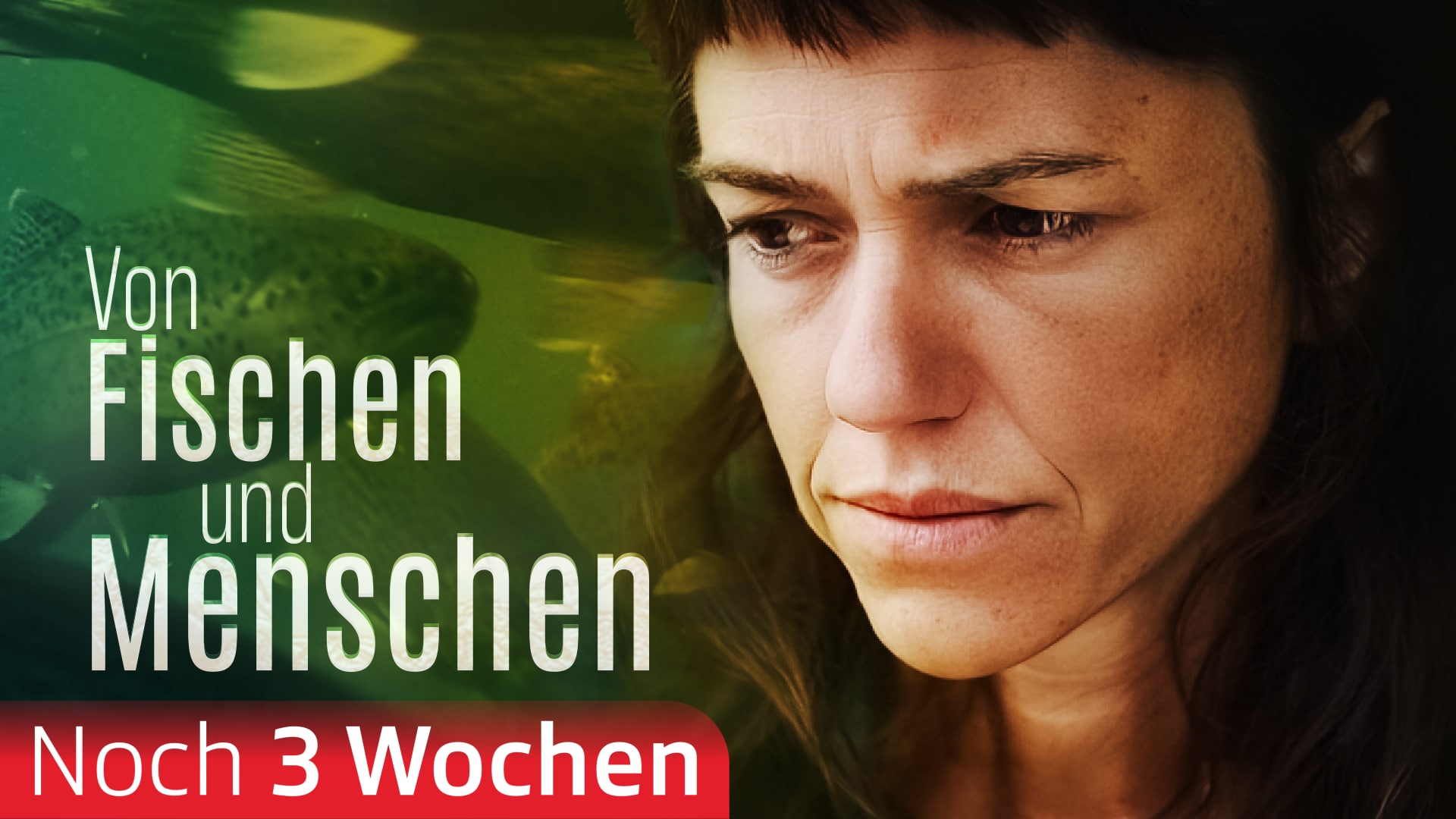 Von Fischen und Menschen