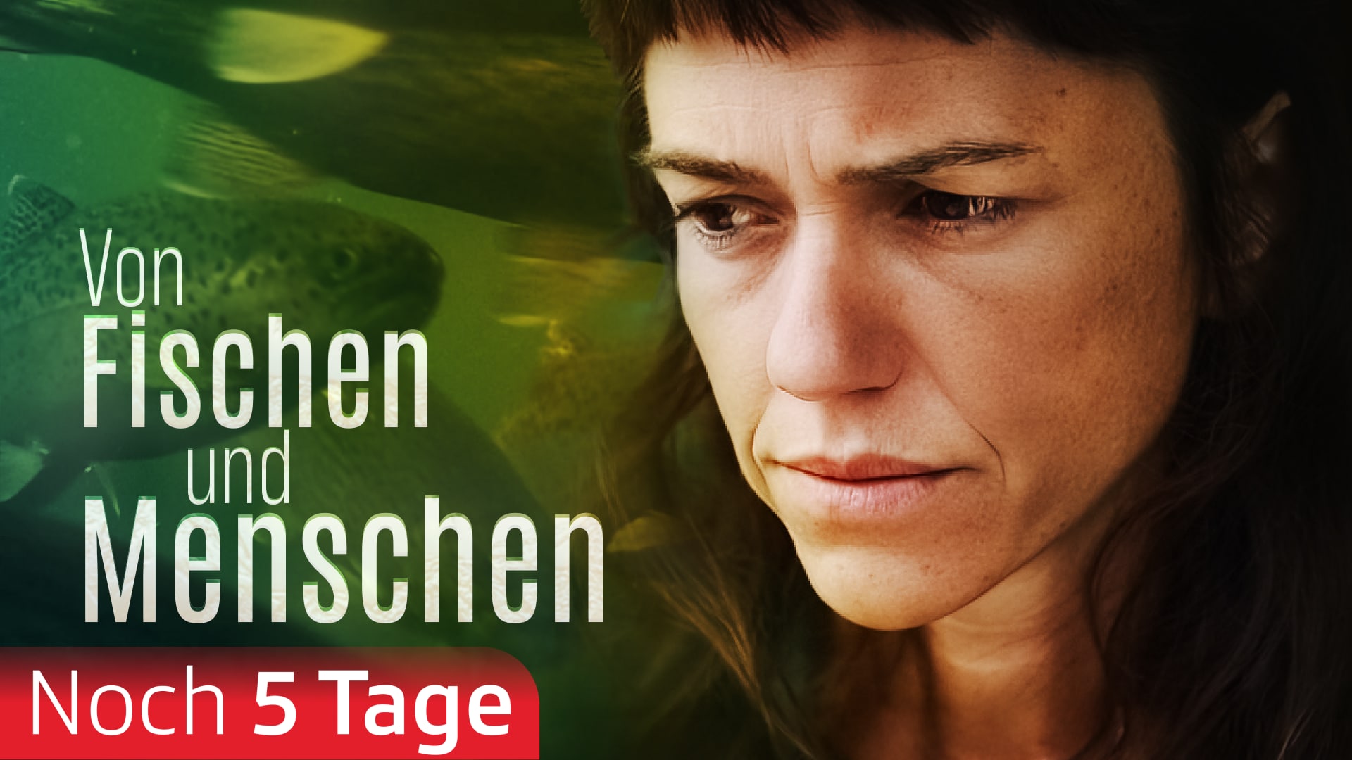 Von Fischen und Menschen