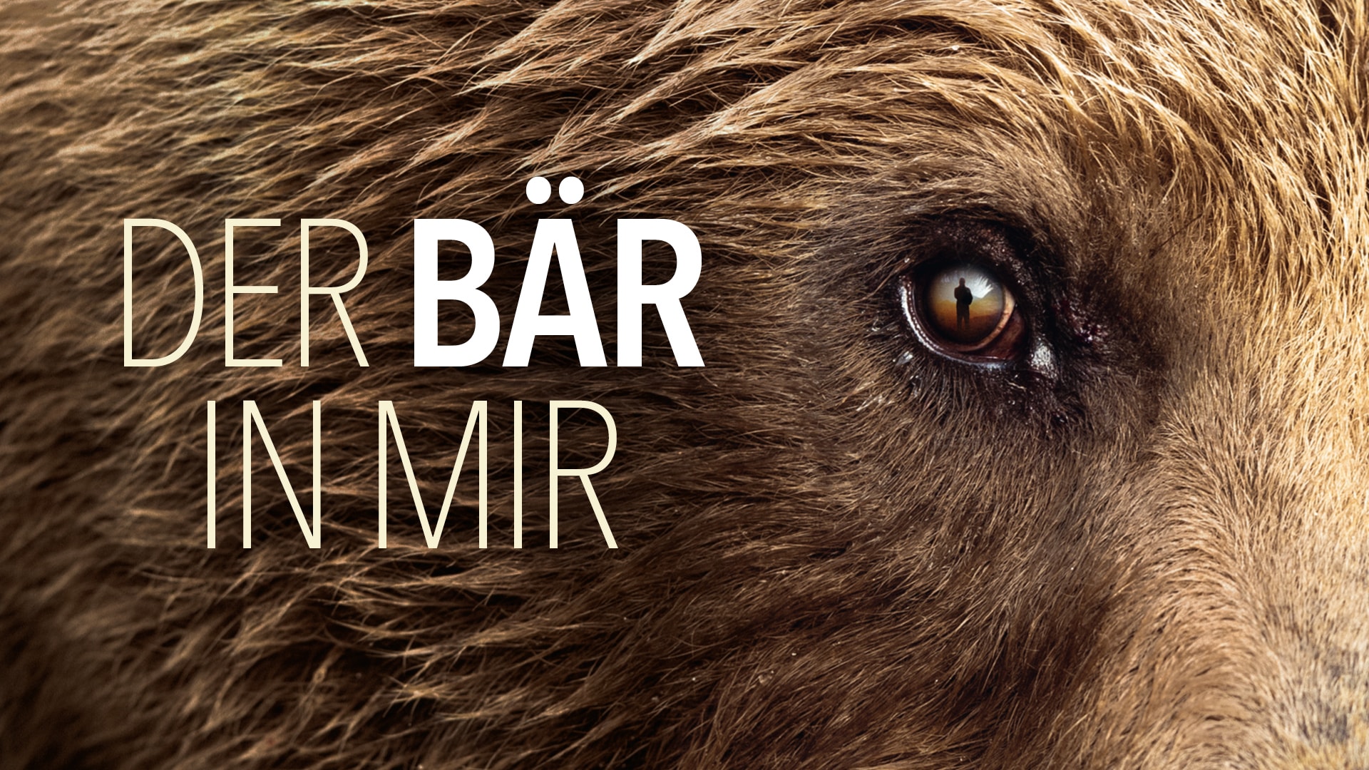 Der Bär in mir