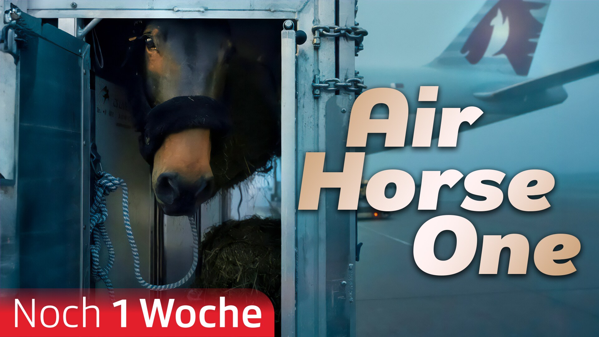 Air Horse One
