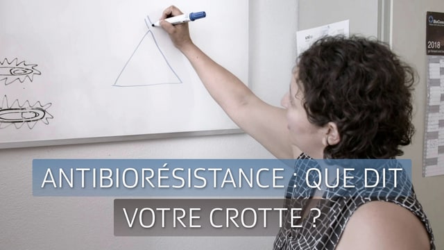 Antibiorésistance : que dit votre crotte ?