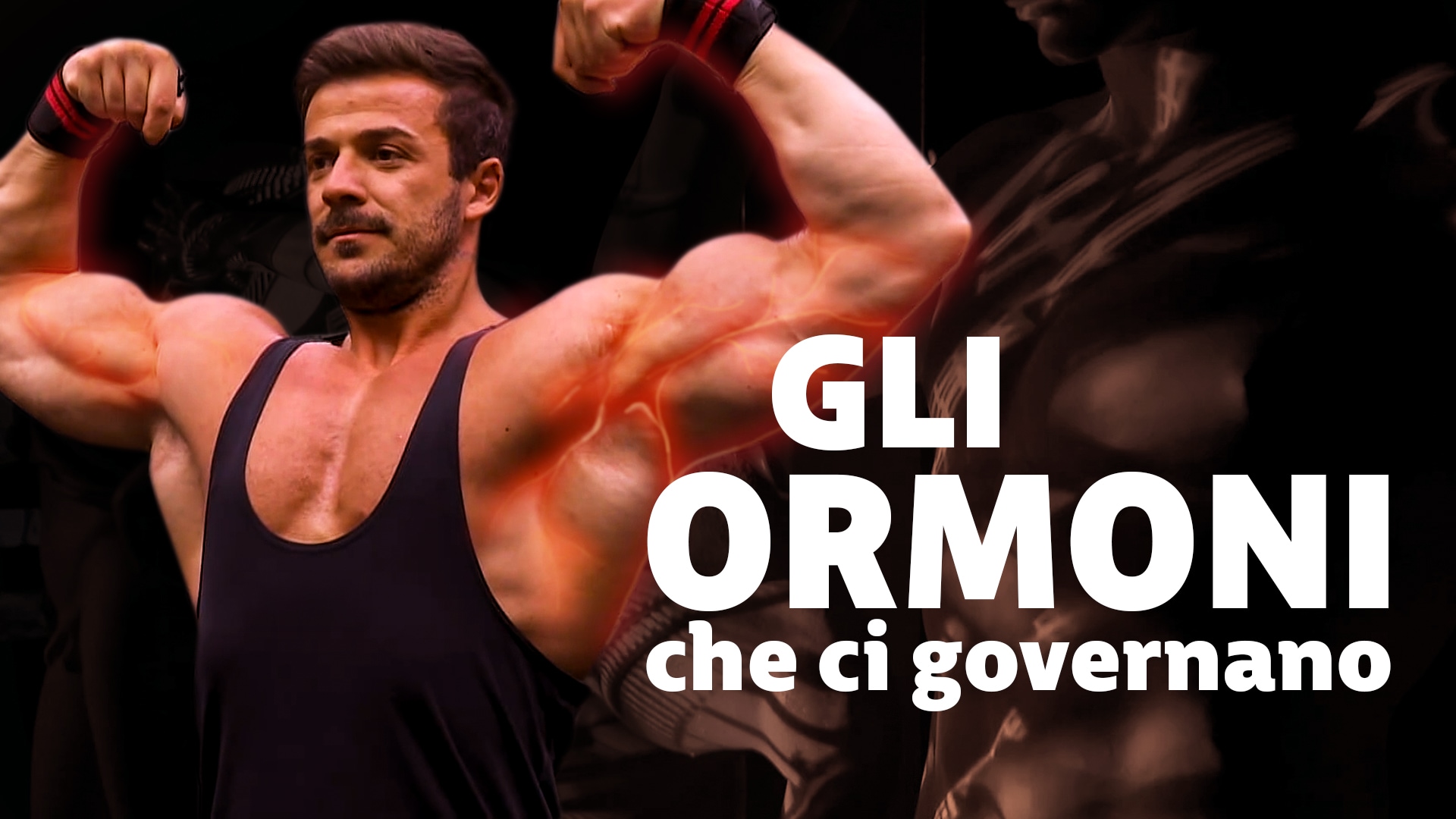Gli ormoni che ci governano
