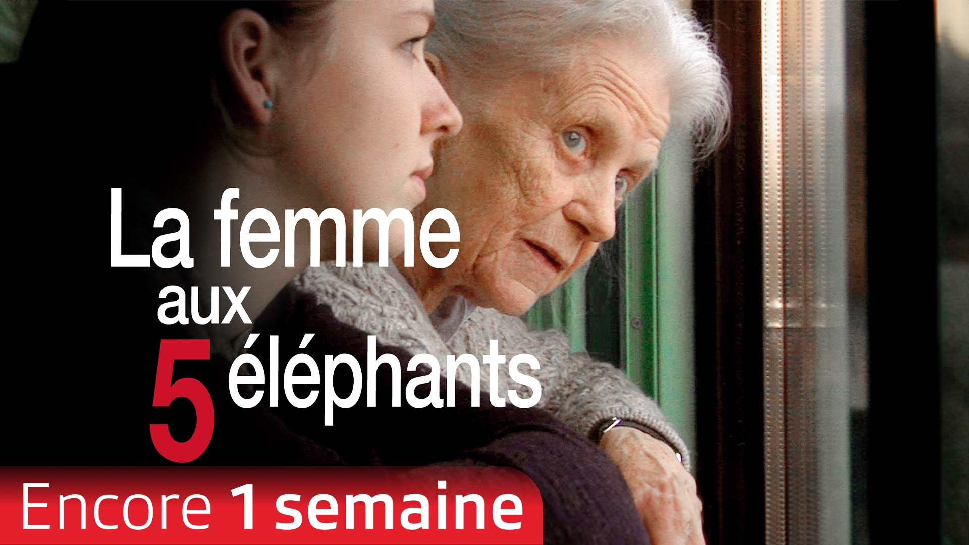La femme aux 5 éléphants