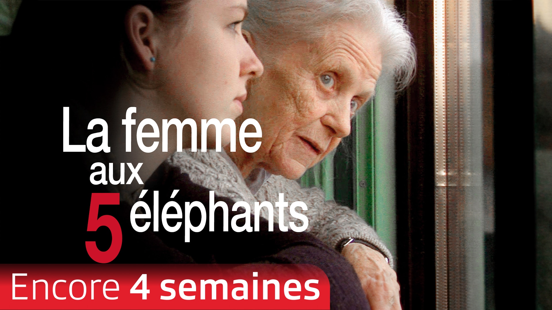 La femme aux 5 éléphants