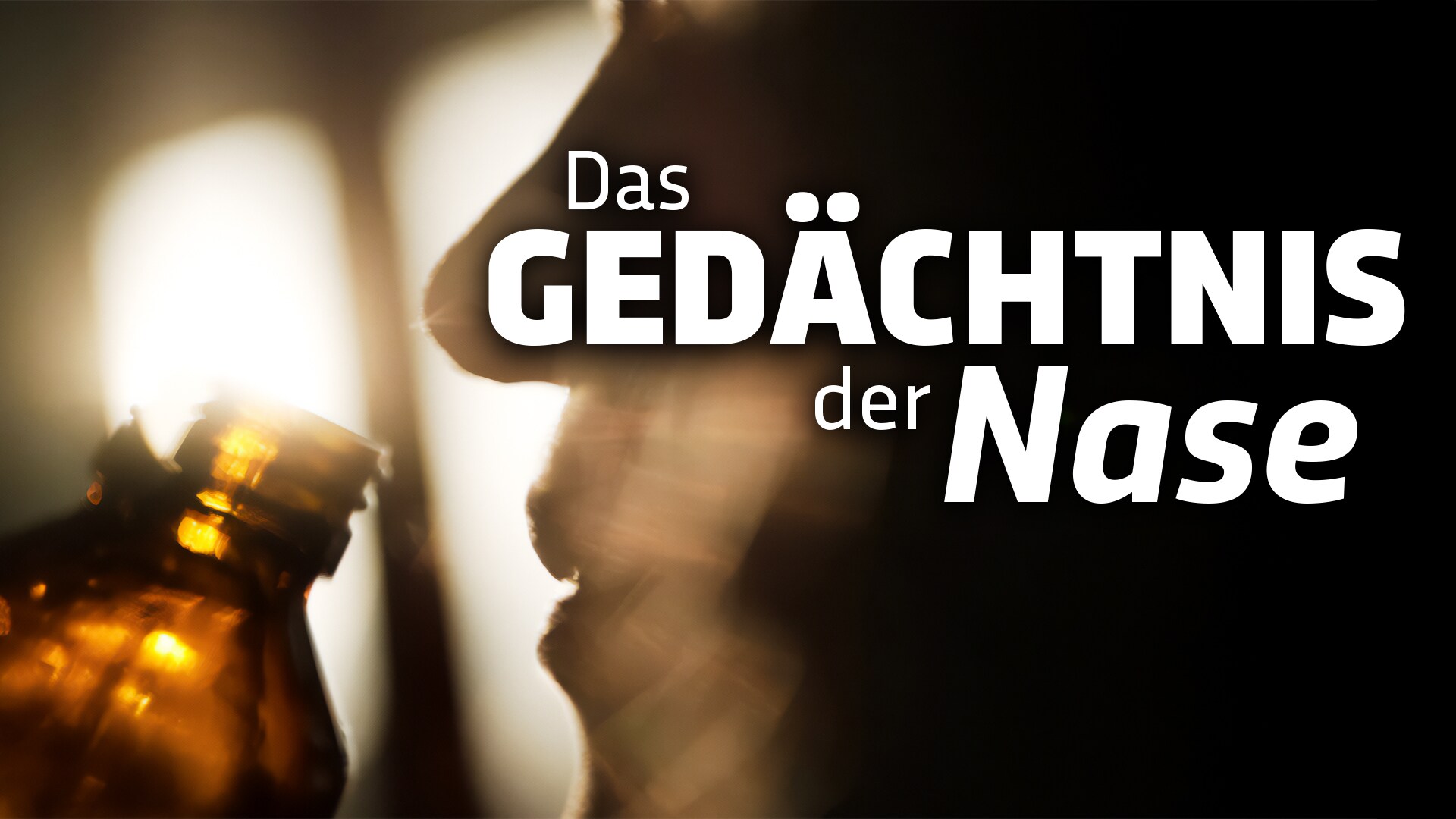 Das Gedächtnis der Nase