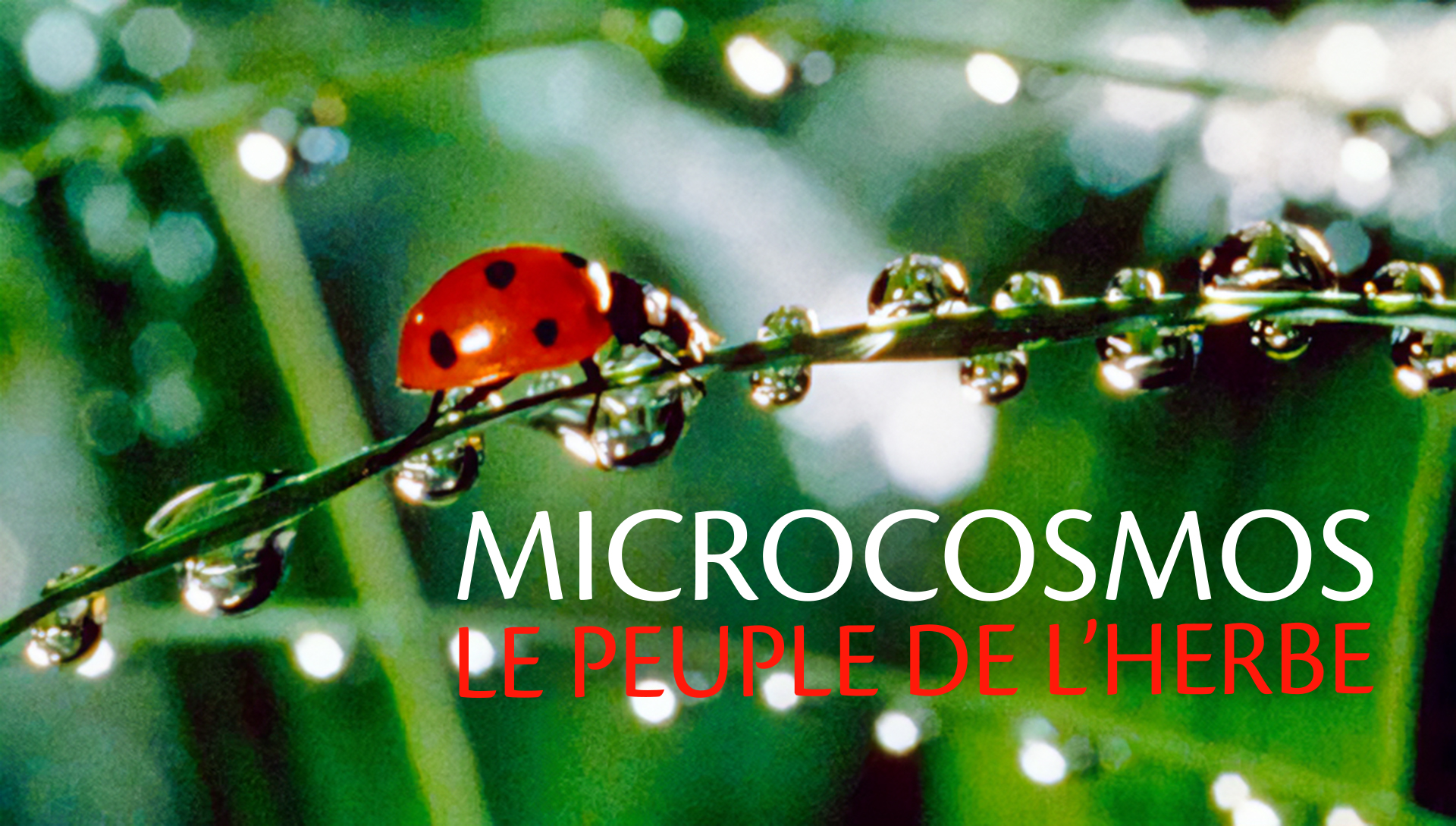 Microcosmos, le peuple de l'herbe