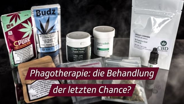 Phagotherapie: die Behandlung der letzten Chance?