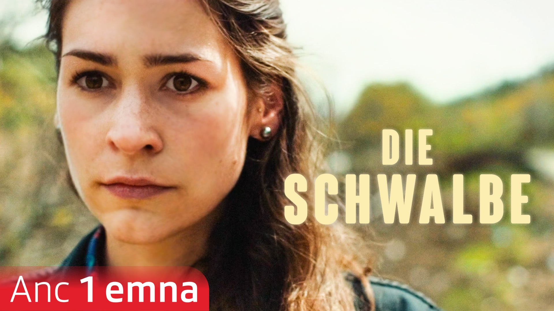 Die Schwalbe