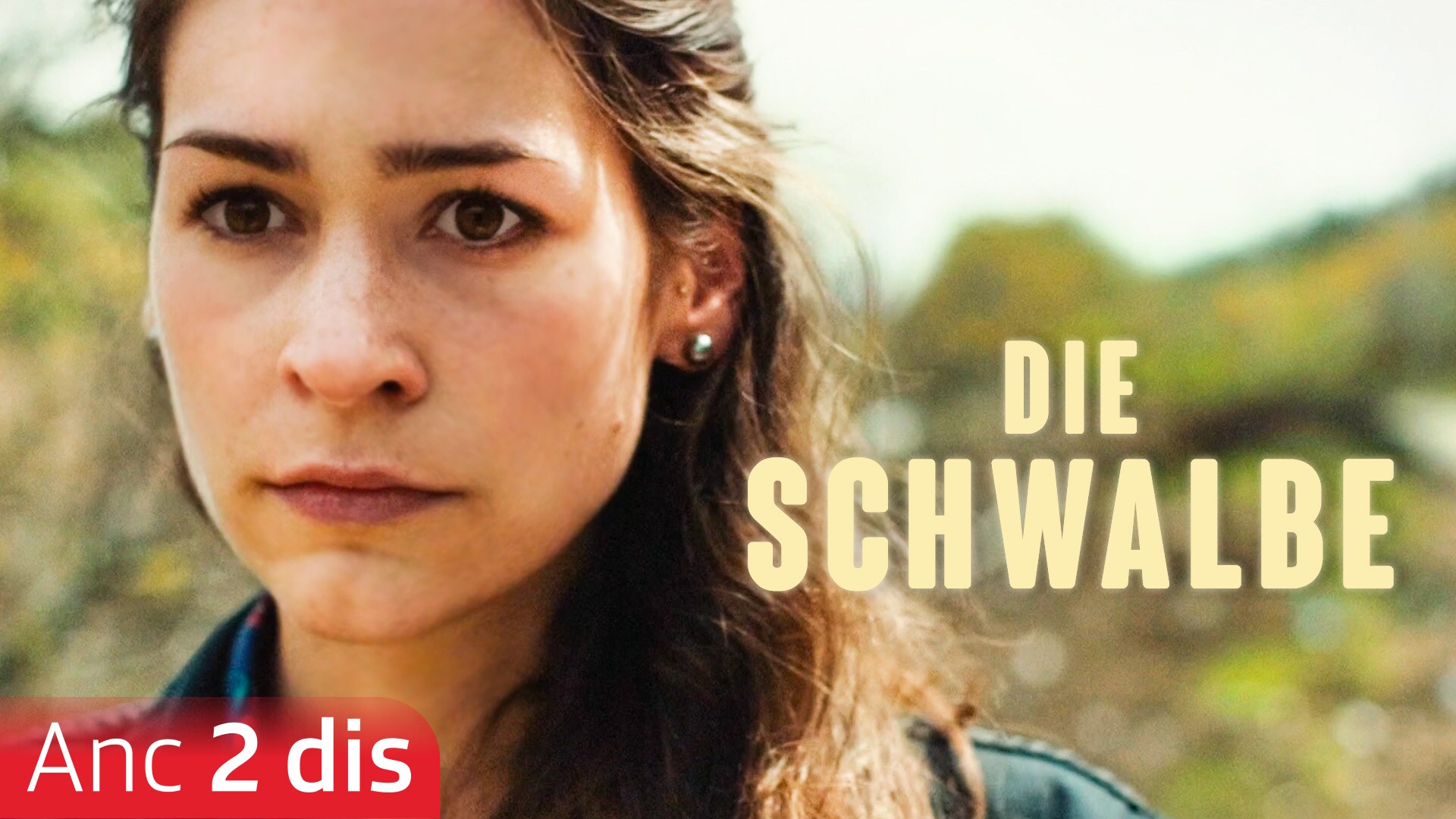 Die Schwalbe