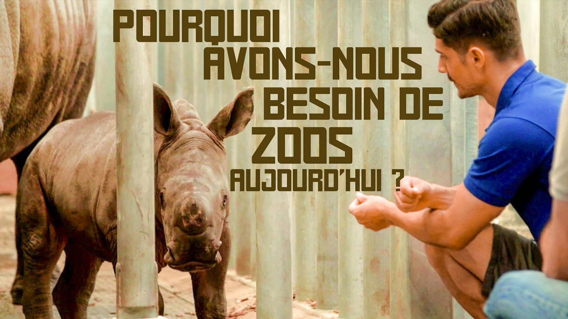 Pourquoi avons-nous besoin de zoos aujourd'hui ?